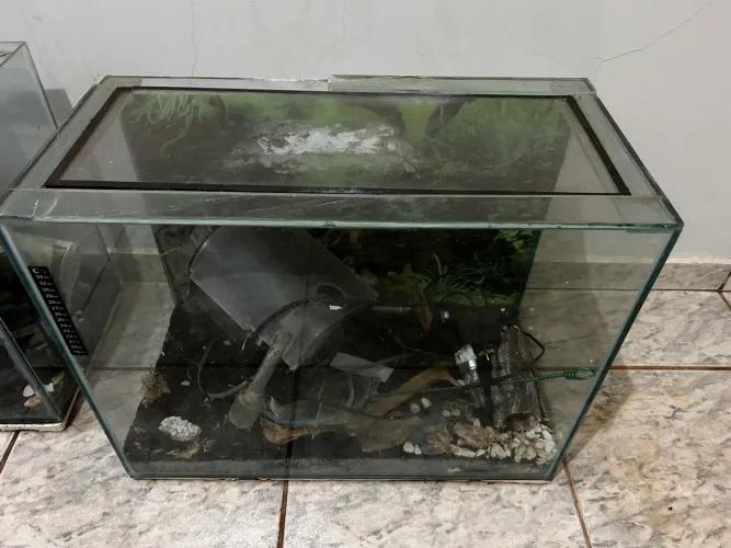 Aquário 80 Litros Completo com Alguns Acessórios