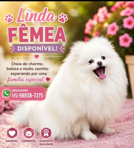 Fêmea adulta e filhotes