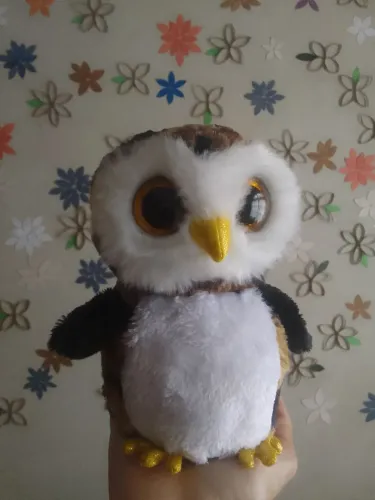 Pelúcia Beanie Boos Coruja Owliver Ty