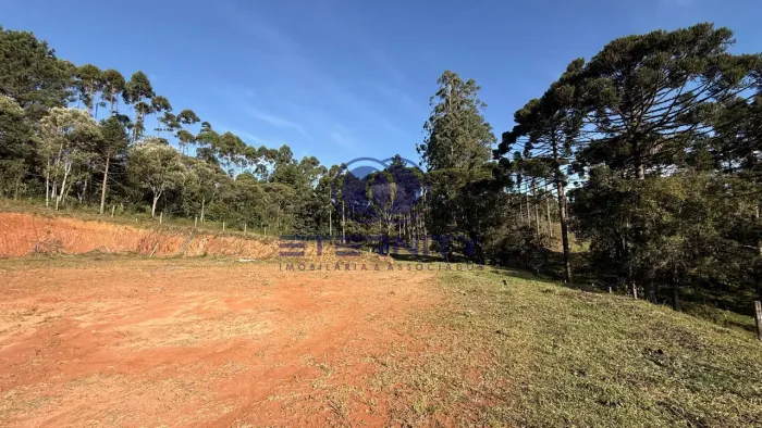 Terreno à Venda em Serra Alta, São Bento do Sul | 7.250m²