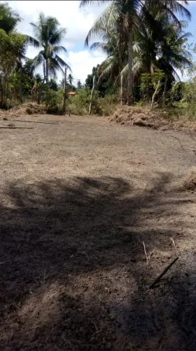 Vende se terreno