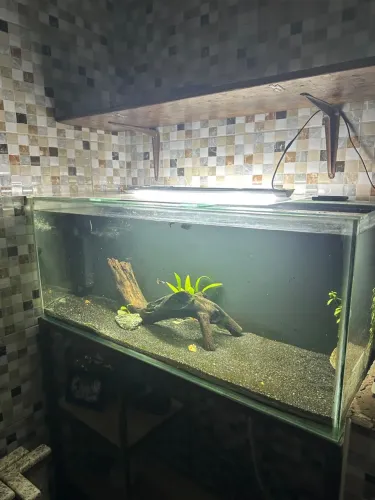 Aquário 200 litros