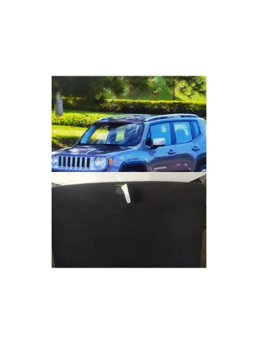Tampão Do Estepe Da Jeep Renegade *0