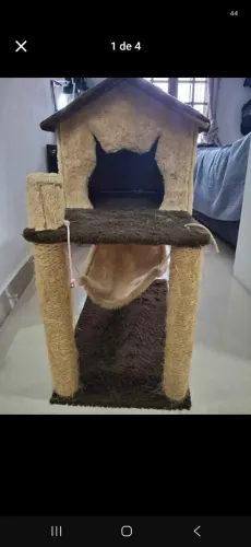 Casa de Gato