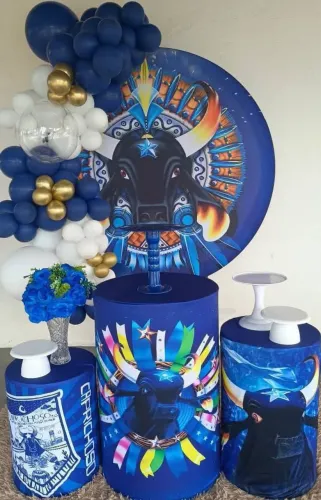 Decoração de Festa Garantido e Caprichoso