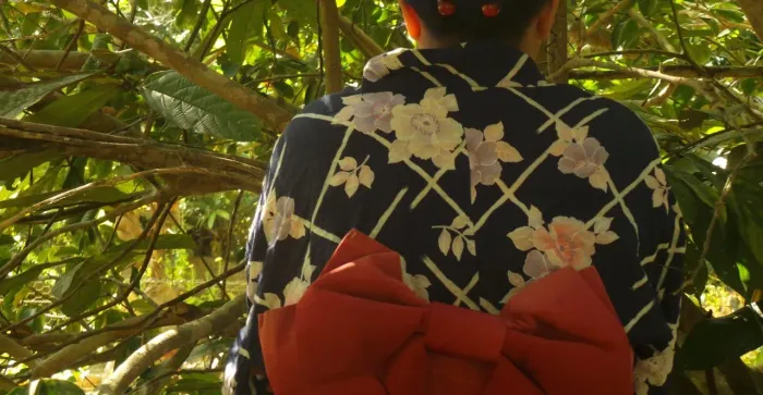 Vendo Kimono feminino 