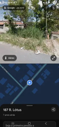 Lote novo reito