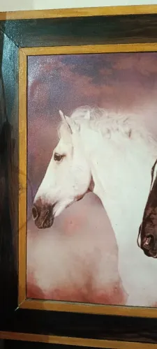Quadro com moldura