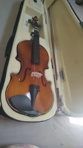 Violino