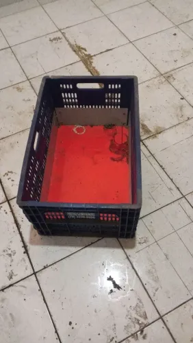 Vendo caixa organizadora plástico