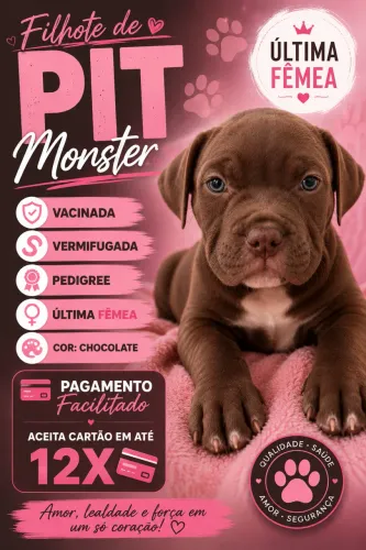 FILHOTE DE PITMONSTER