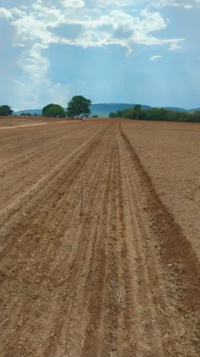 Fazenda a venda, em Peixe Tocantins!!!