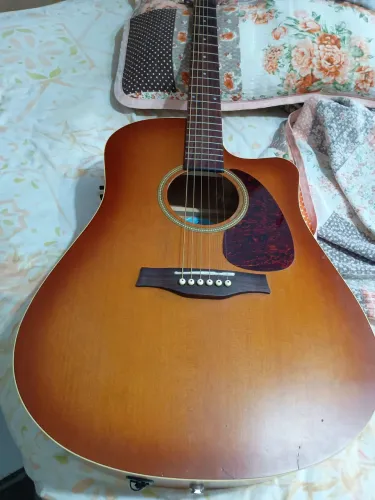 Violão Seagull ENTOURAGE RÚSTIC ( GODIN).