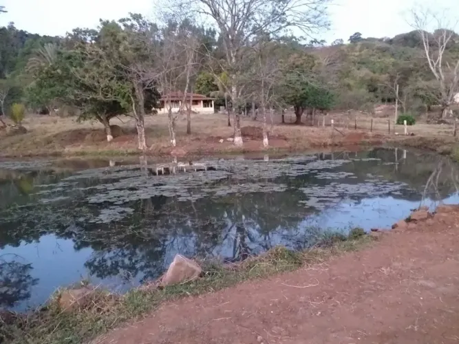 Sítio à Venda - Estância Monte Olimpo | Descalvado/SP