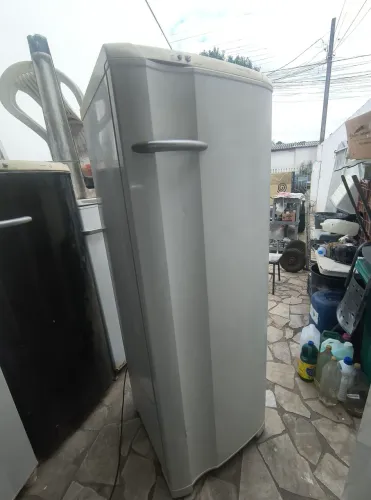 Geladeira degelo seco 343 litros entrego 