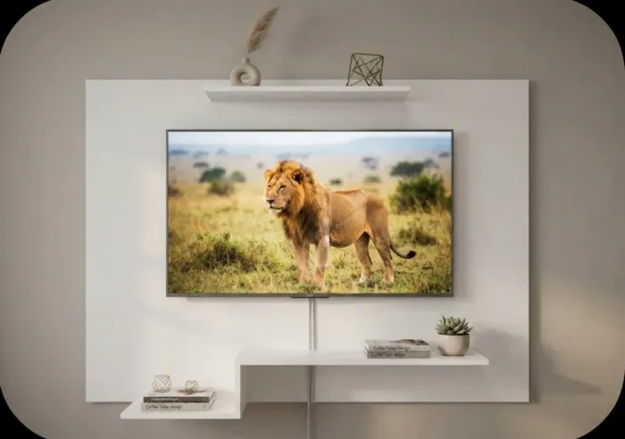 VENDO PAINEL DE TV