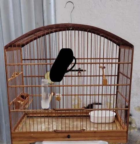 Gaiola