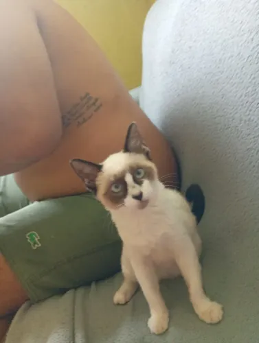 Doação responsável