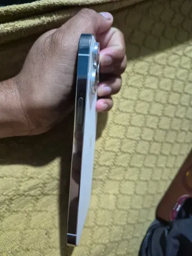 iPhone 13 Pro Max 256g
