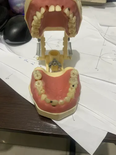 Manequim odontologia orais