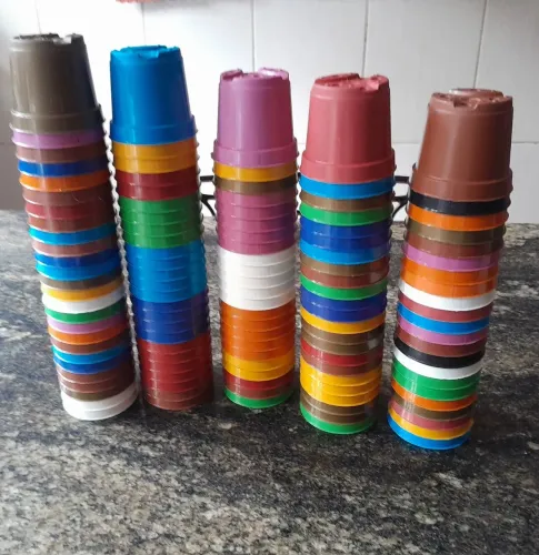 Vasos suculentas 
