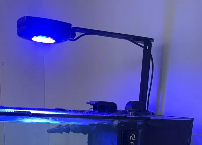 Luminária aquário marinho
