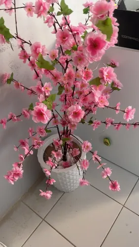 Vaso de cerejeira