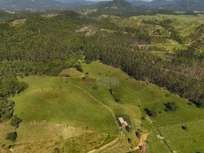 Terreno à venda, 213163 m² por R$ 5.500.000,00 - Urussanga - Canelinha/SC