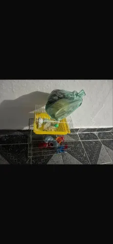 Vendo gaiolas de hasmter e papagaios