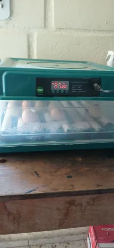 Chocadeira 48 ovos 