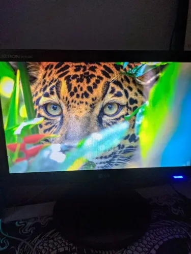 Monitor LG 15.6 polegadas