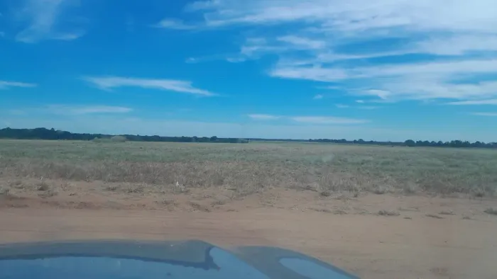 Fazenda arrendamento soja 1.600hac plantando em Nova Alvora TO.