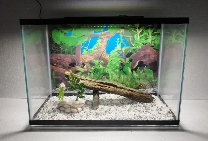 Aquário ( novo)40 litros 50 cm comprimtento com iluminação led.