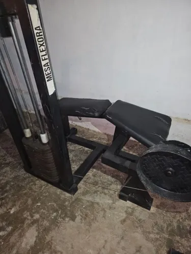 Mesa flexora