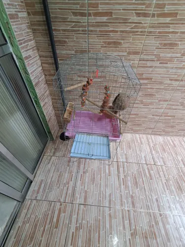 Vendo uma gaiola para para cria pássaros