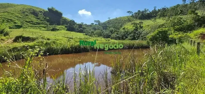 SÍTIO FORMADO EM PASTO À VENDA EM GUARATINGUETÁ-SP