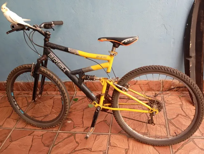 Bicicleta BRISK sundown 21 speed v brake Full suspension 