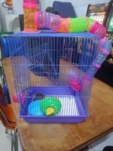Viveiro dinâmico para hamster 