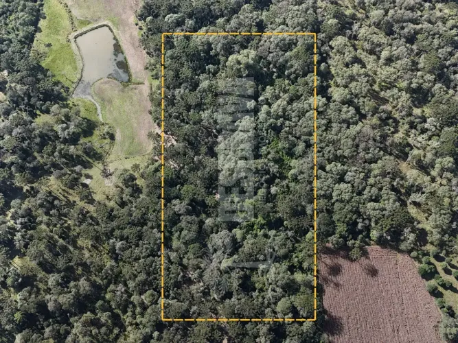 Terreno com córrego, possui 32.000m² - Salto do Engenho, Campo Alegre SC