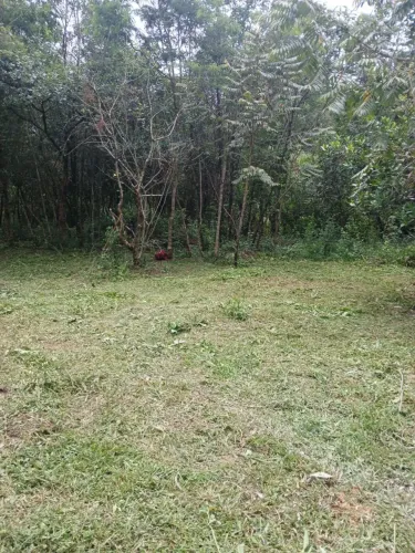 Fazendinha de 40.000 m2