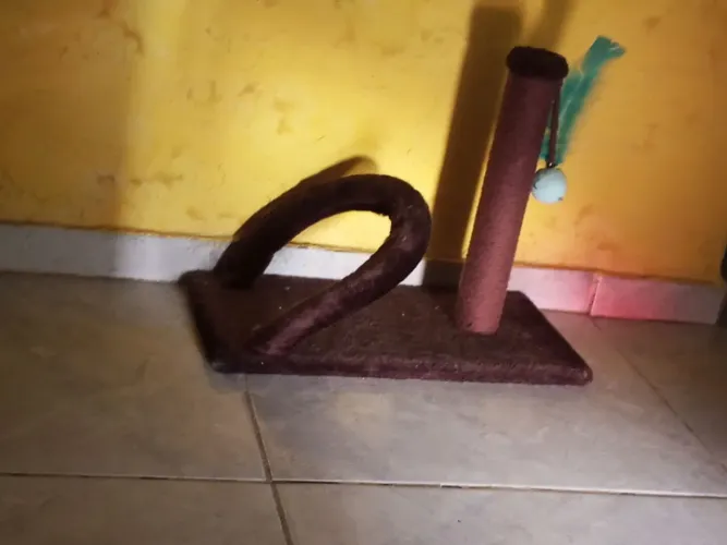 Arranhador pra gato filhote