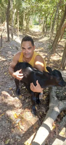 Animais de estimação