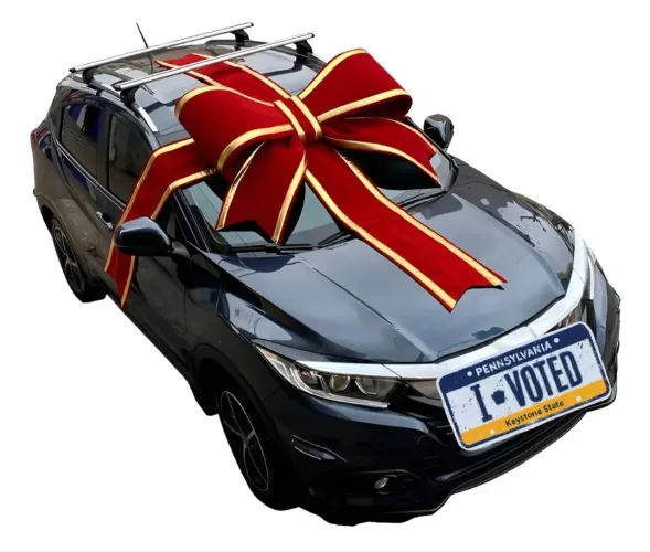 Laço Decorativo Para Carro Gigante 1,20m Veludo Bordas Douradas Carro