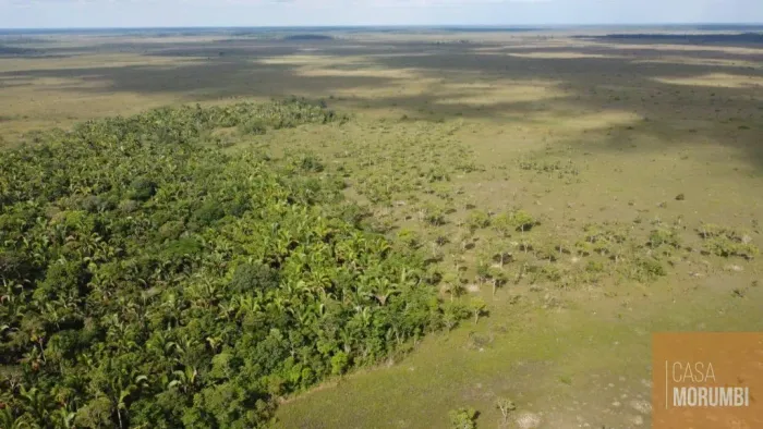 FAZENDA A VENDA 10.500 (DEZ MIL )HECTARES 80 KM PORTO VELHO RO.