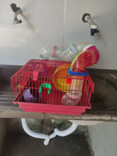 Casa de hamster completa