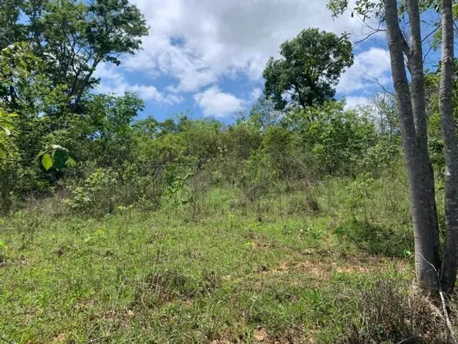  Terreno rural 7.8ha, casa antiga, barracão, arvores frutíferas, 2 nascentes,2 lagoas, Jab