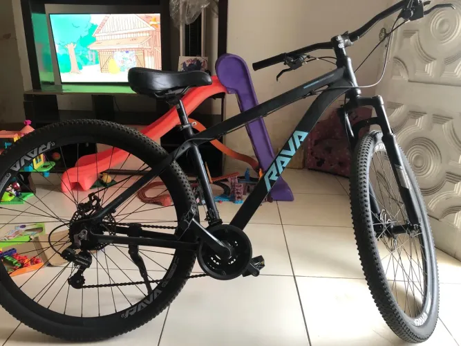 Bicicleta rava aro 29
