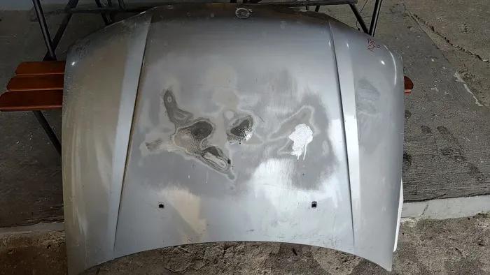 capo da Fiat Palio
