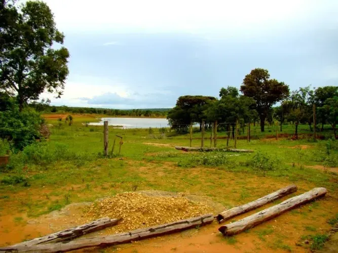 Fazenda plana - 4mil hectares Minas Gerais - Burutizeiro (R$ 7.500,00 Preço por ha)