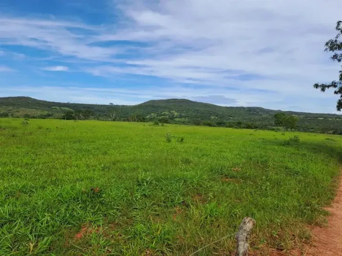 CHACARA 14,3 HA ( 3 ALQUEIRES) MUNICIPIO CALDAS NOVAS GO